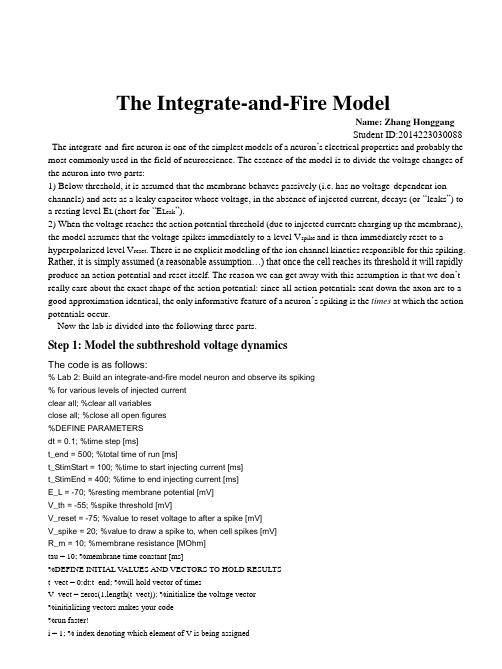 integrate and fire modle