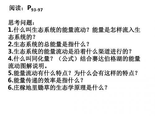 人教版高中生物必修三课件5.2生态系统的能量流动(14张ppt)