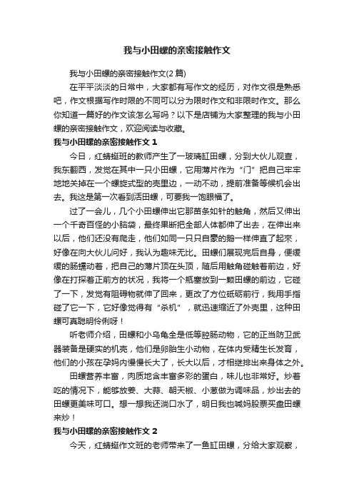 我与小田螺的亲密接触作文