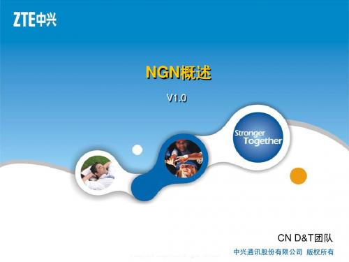1 NGN概述