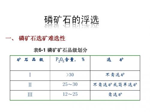 6-1 浮选工艺