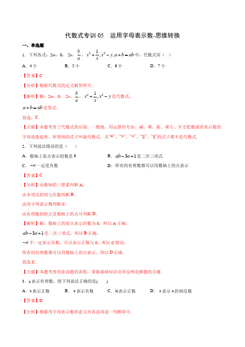 代数式专训05 运用字母表示数-思维转换(解析版)