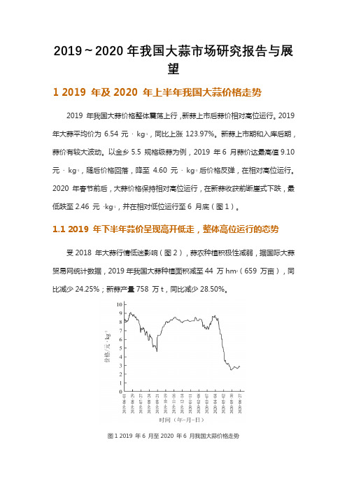 2019～2020年我国大蒜市场研究报告与展望