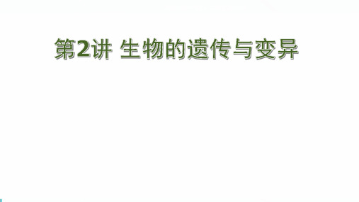 中考会考生物的遗传与变异知识点练习题课件