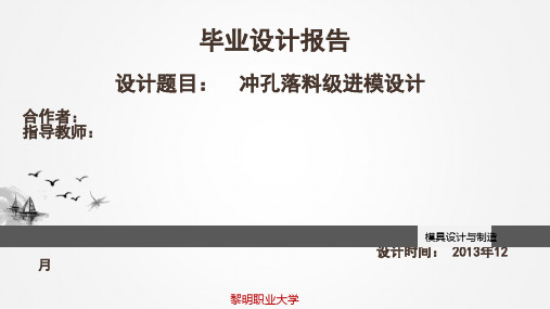 冲孔落料级进模设计ppt资料