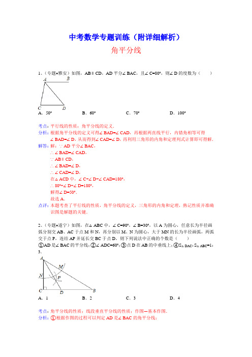 中考数学专题训练(附详细解析)：角平分线