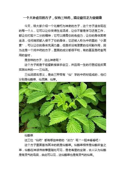 一个大补虚劳的方子，仅有三味药，搞定疲劳乏力亚健康