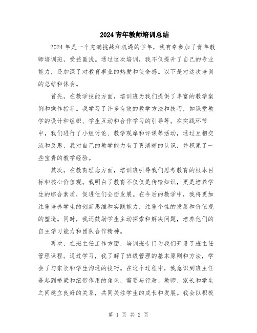 2024青年教师培训总结