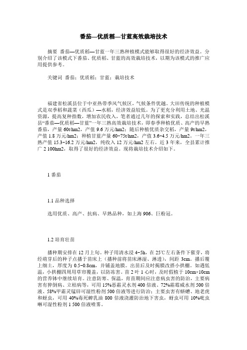 番茄—优质稻—甘蓝高效栽培技术