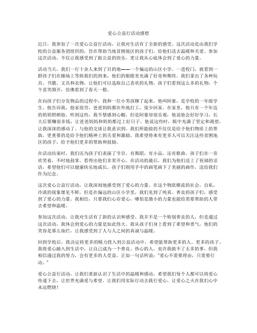 爱心公益行活动感想