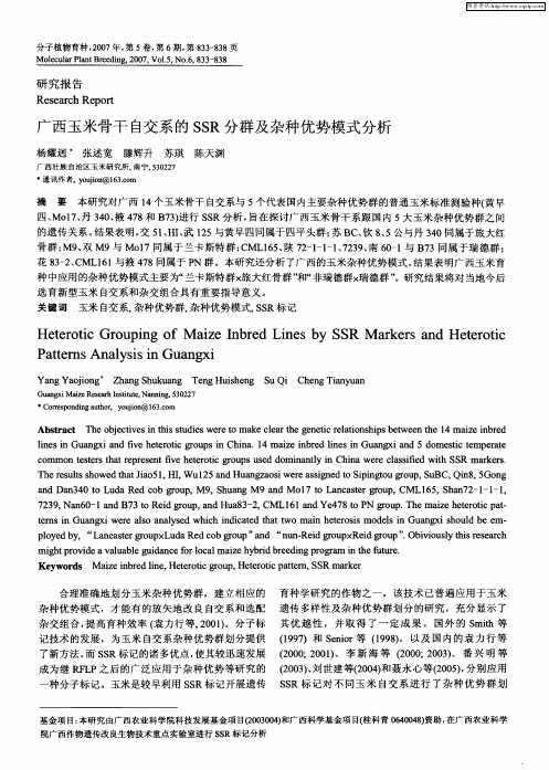 广西玉米骨干自交系的SSR分群及杂种优势模式分析