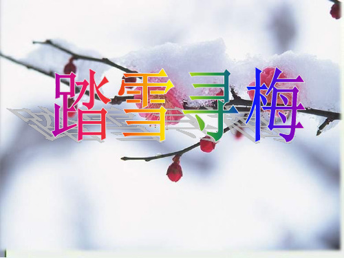 《踏雪寻梅》音乐PPT课件(6篇)