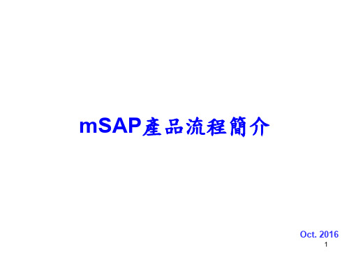 mSAP产品流程简介-中文-V03