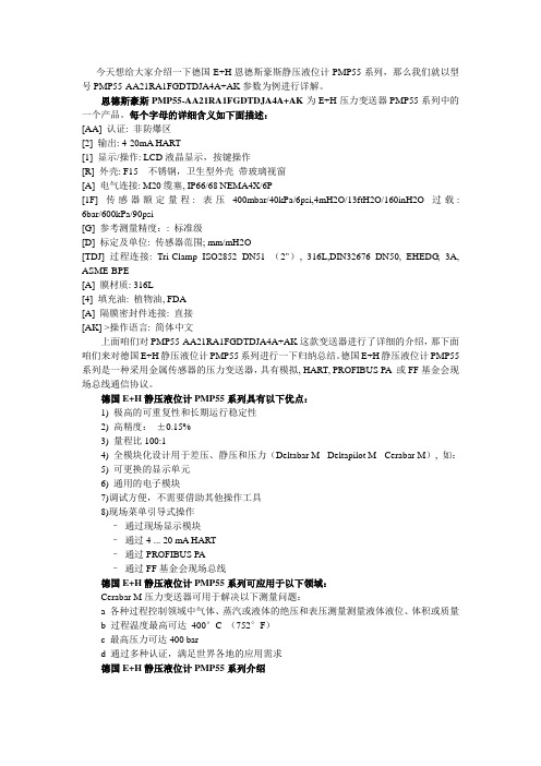 今天想给大家介绍一下德国E H恩德斯豪斯静压液位计PMP