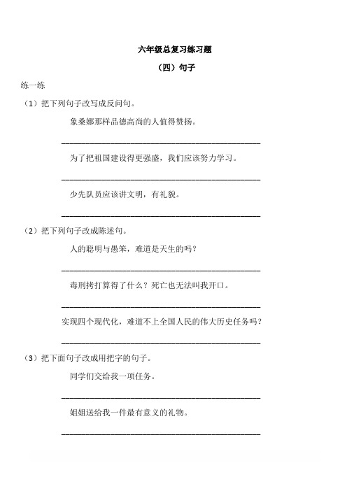 六年级语文句子总复习练习题