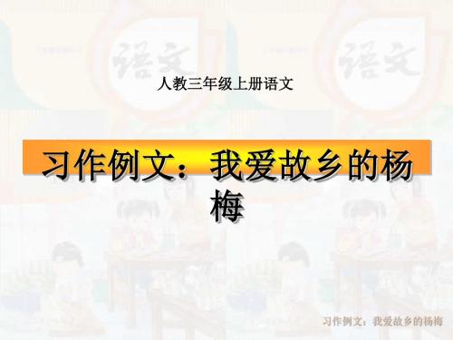 三年级上册语文教学课件-五单元习作例文 我爱故乡的杨梅  人教部编版 (共16张ppt)