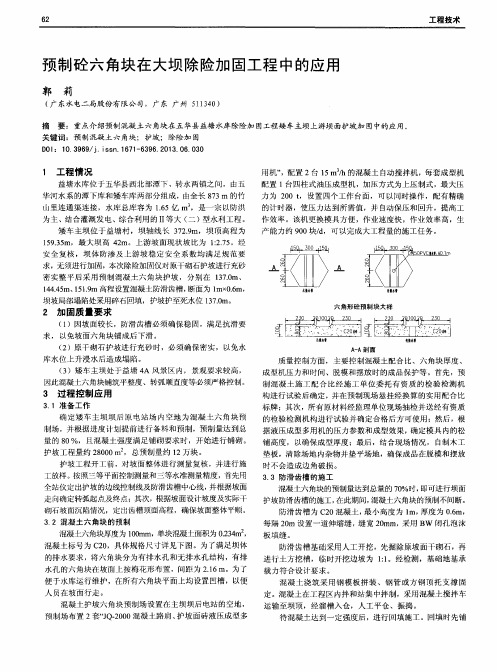 预制砼六角块在大坝除险加固工程中的应用