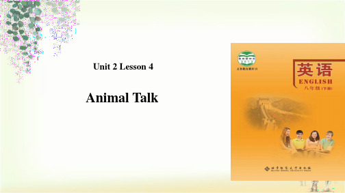 北师大版八年级下册英语课件:Unit 2 Lesson 4