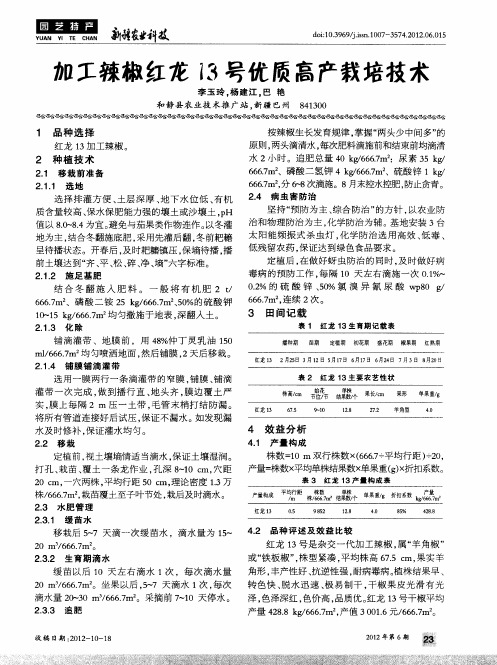 加工辣椒红龙13号优质高产栽培技术