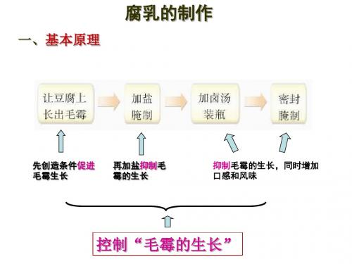 2010腐乳的制作