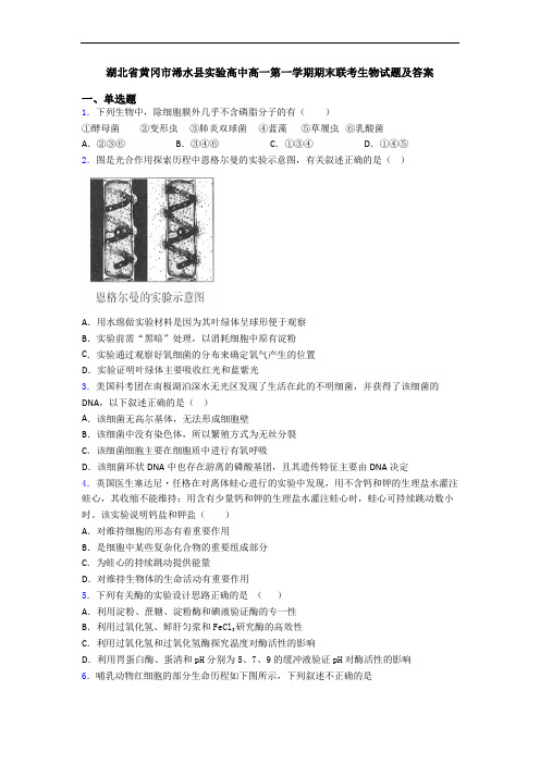 湖北省黄冈市浠水县实验高中高一第一学期期末联考生物试题及答案