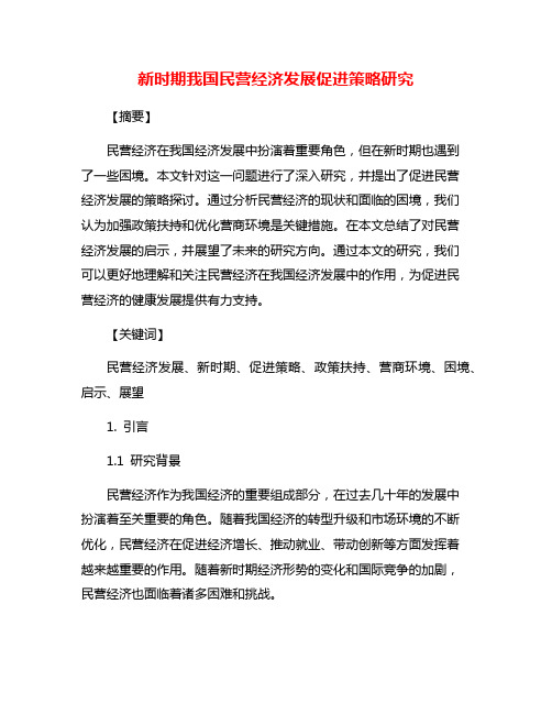 新时期我国民营经济发展促进策略研究