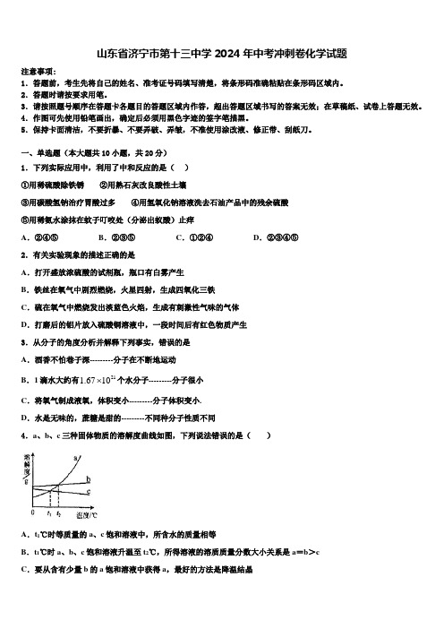 山东省济宁市第十三中学2024年中考冲刺卷化学试题含解析