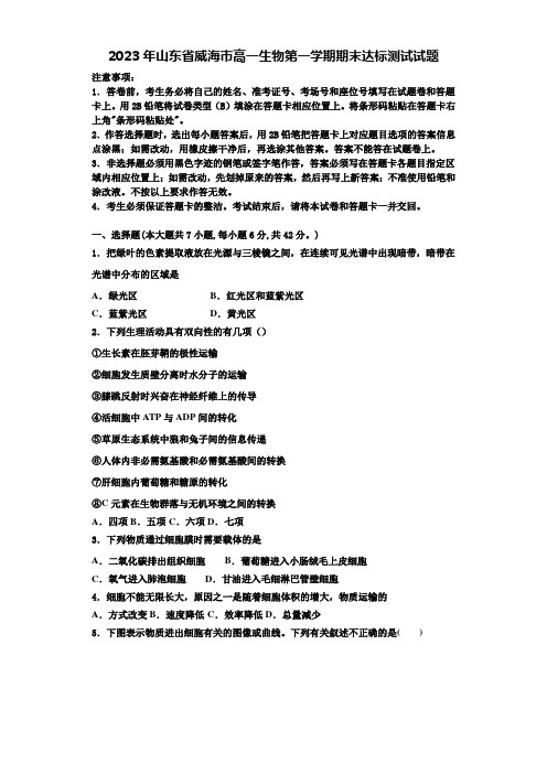 2023年山东省威海市高一生物第一学期期末达标测试试题含解析