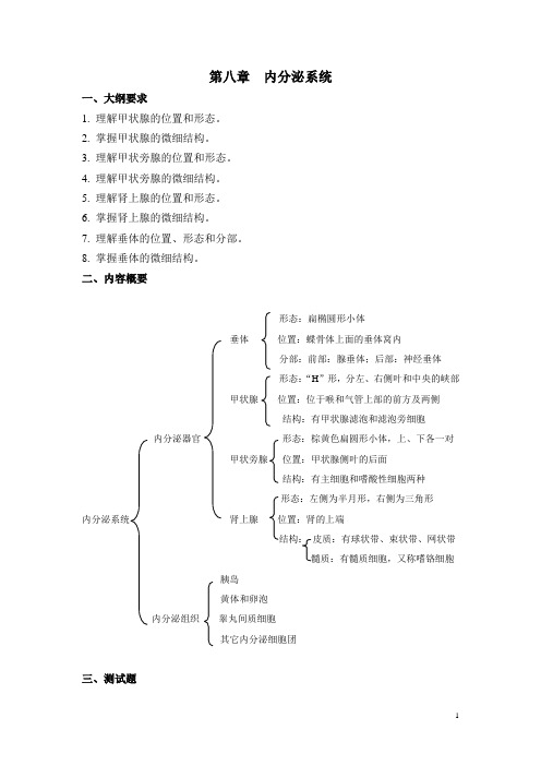 第八章内分泌系统--人体结构学