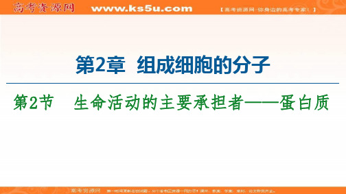 2020-2021学年高一生物人教版必修1：第2章 第2节 生命活动的主要承担者——蛋白质