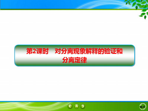 人教版生物必修二同步课件：1-1.2 对分离现象解释的验证和分离定律