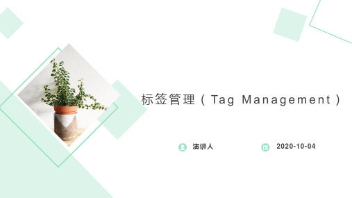 标签管理(Tag Management)