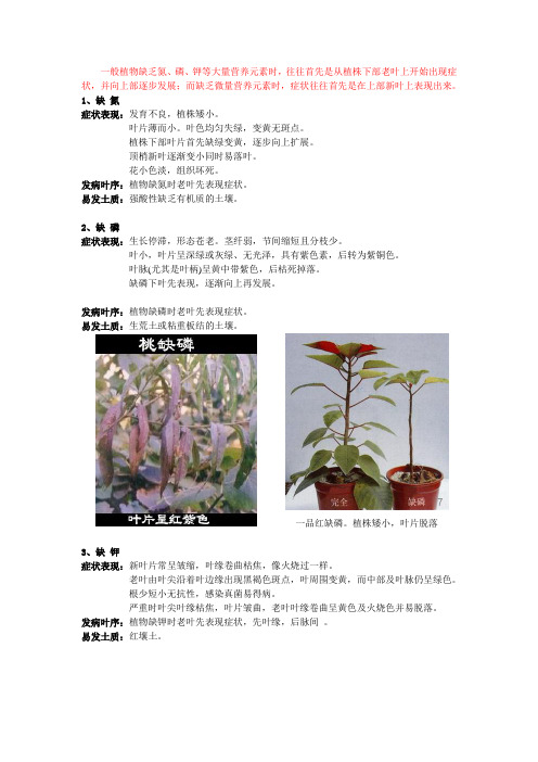 植物缺素