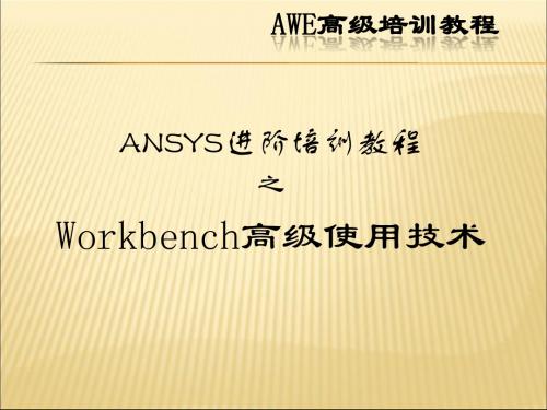 ANSYS12.0中Workbench模块高级使用技术