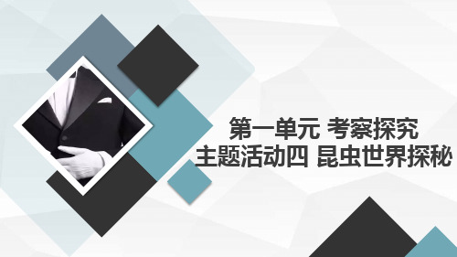 内蒙古版小学四年级上册综合实践活动第一单元 考察探究 主题活动四 昆虫世界探秘