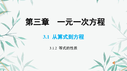 人教版七年级上册3.等式的性质课件