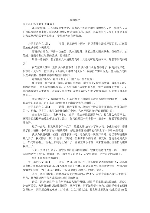 雾的作文_6