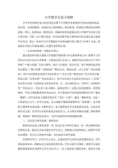 小学数学总复习策略