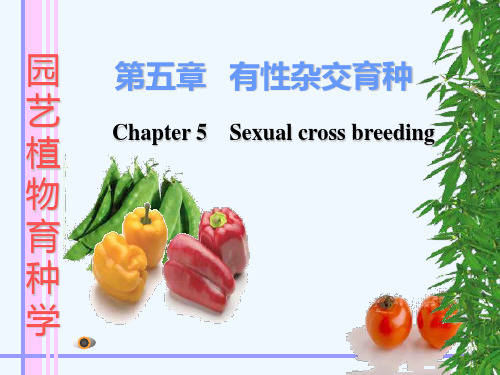 园艺植物育种学有性杂交育种