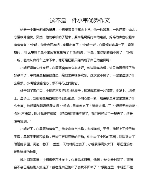 这不是一件小事优秀作文