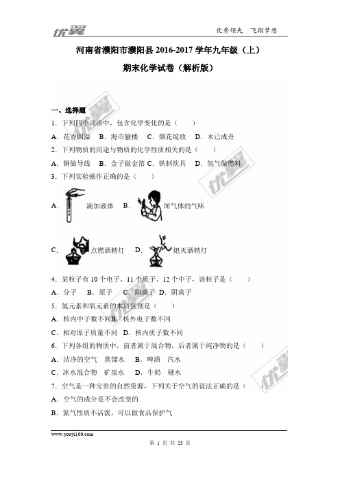 2016-2017学年河南省濮阳市濮阳县九年级(上)期末化学试卷(解析版)