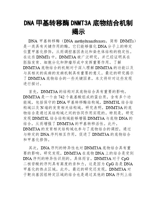 DNA甲基转移酶DNMT3A底物结合机制揭示