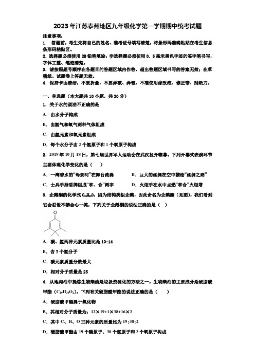 2023年江苏泰州地区九年级化学第一学期期中统考试题含解析