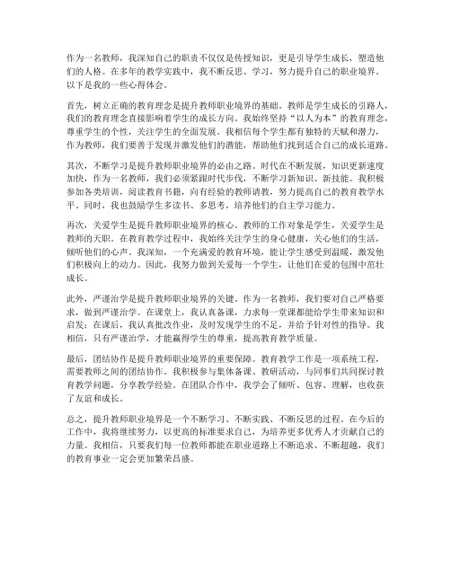 提升教师职业境界心得体会