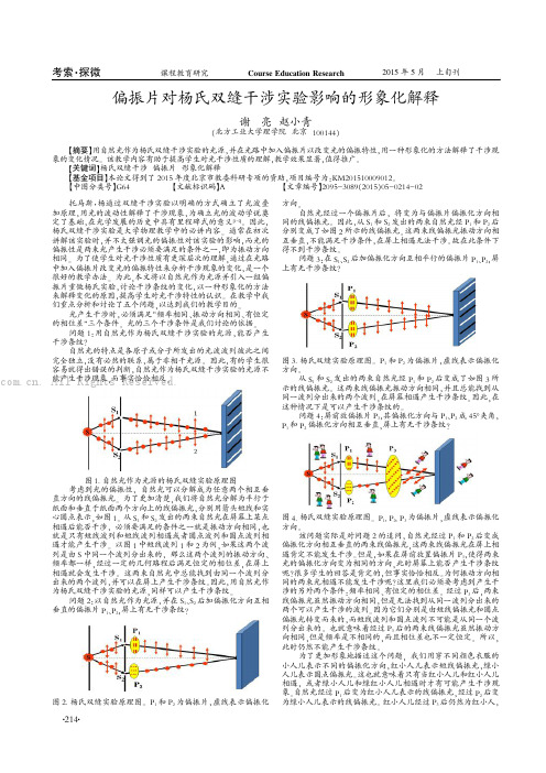 偏振片对杨氏双缝干涉实验影响的形象化解释