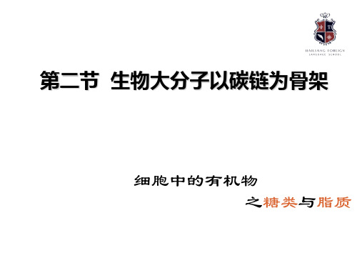 1.2 生物大分子以碳链为骨架 课件【新教材】浙科版(2019)高中生物必修一