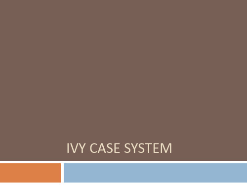 案例分析系统Ivy Case System