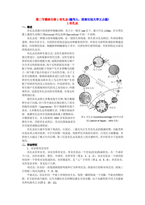 第六章第二节 1-有孔虫