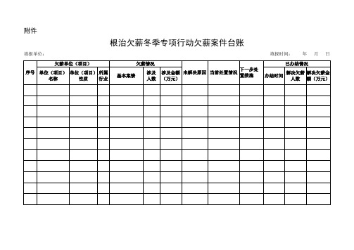 根治欠薪冬季专项行动欠薪案件台账