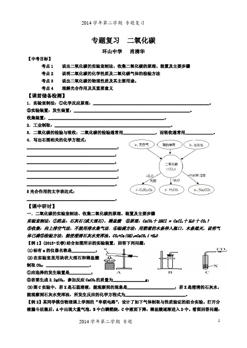 专题复习  二氧化碳